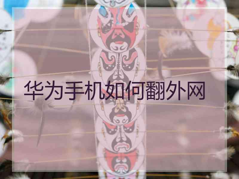 华为手机如何翻外网