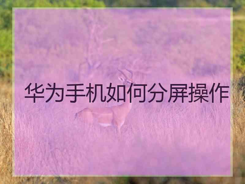 华为手机如何分屏操作