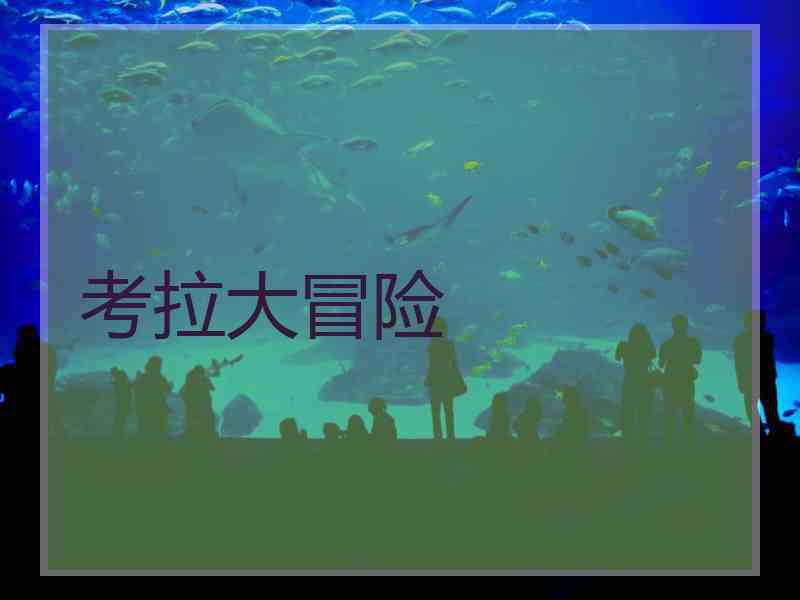 考拉大冒险
