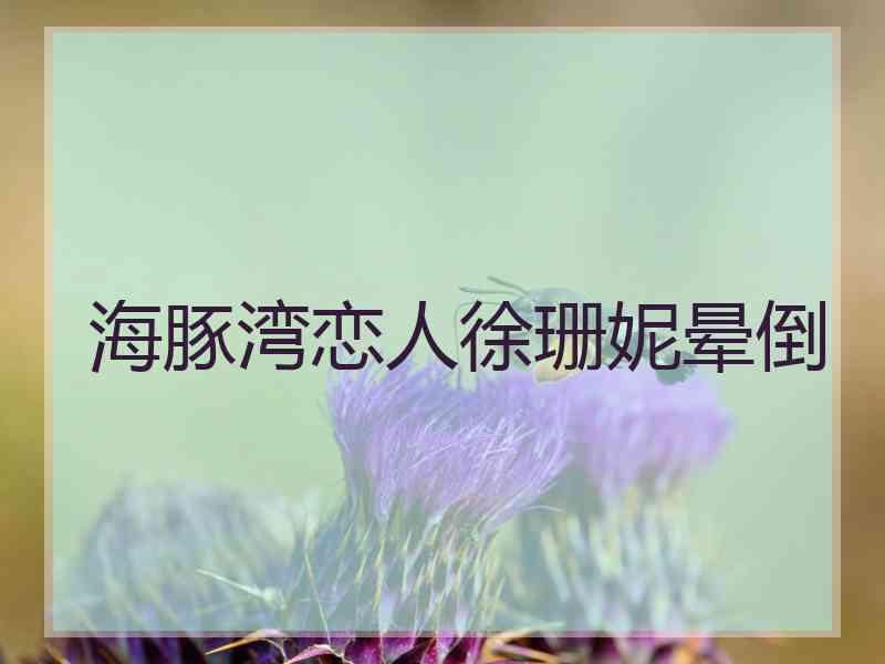 海豚湾恋人徐珊妮晕倒