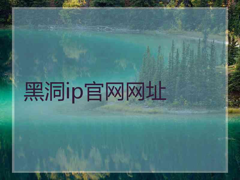 黑洞ip官网网址