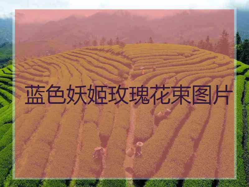 蓝色妖姬玫瑰花束图片