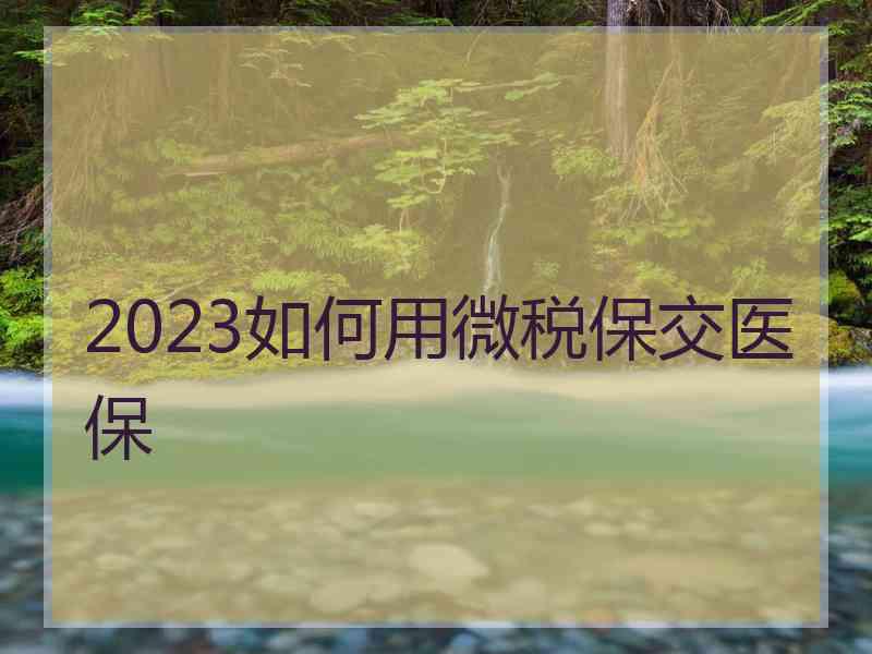 2023如何用微税保交医保