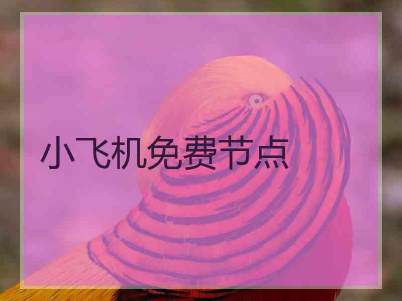 小飞机免费节点