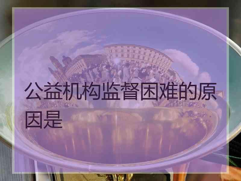 公益机构监督困难的原因是