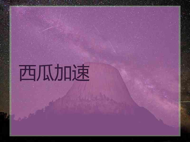 西瓜加速