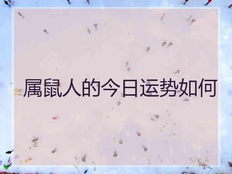 属鼠人的今日运势如何