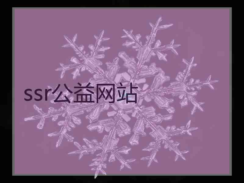 ssr公益网站