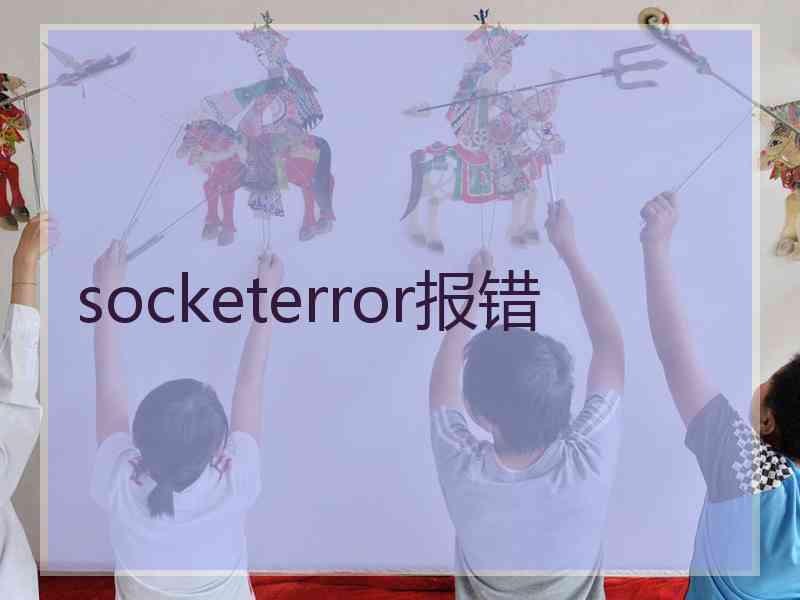 socketerror报错
