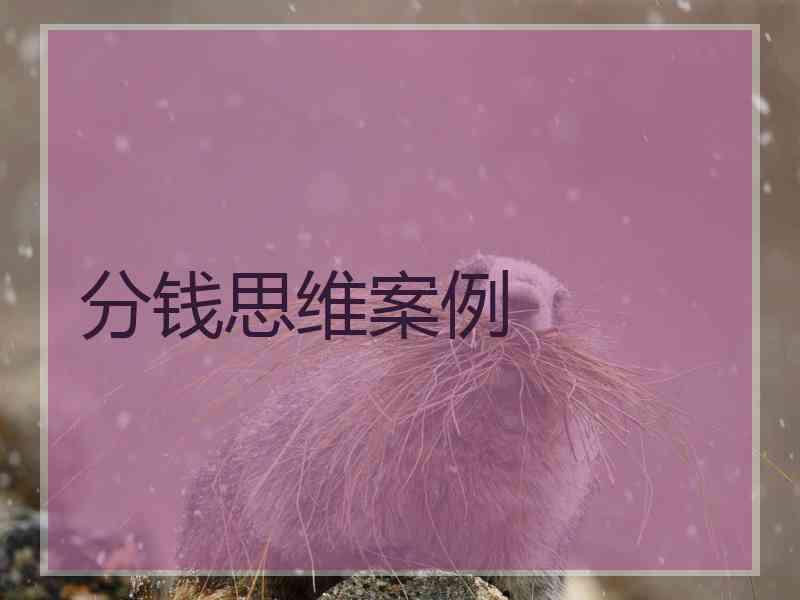 分钱思维案例