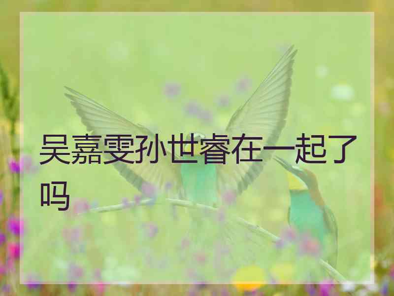 吴嘉雯孙世睿在一起了吗