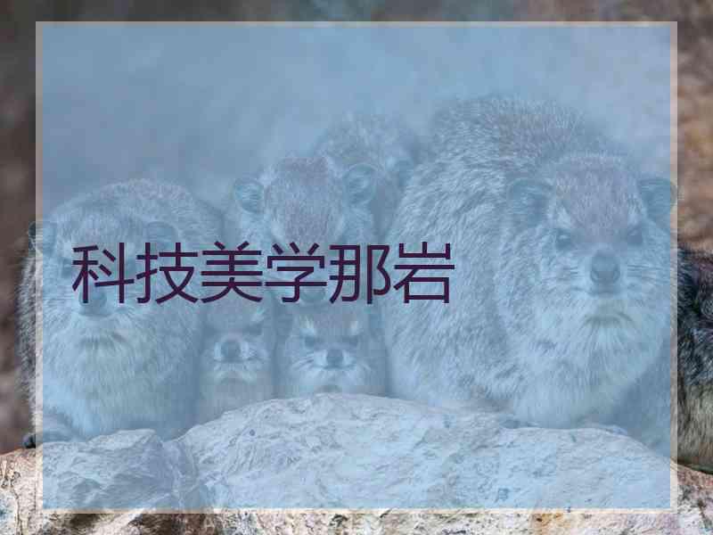 科技美学那岩
