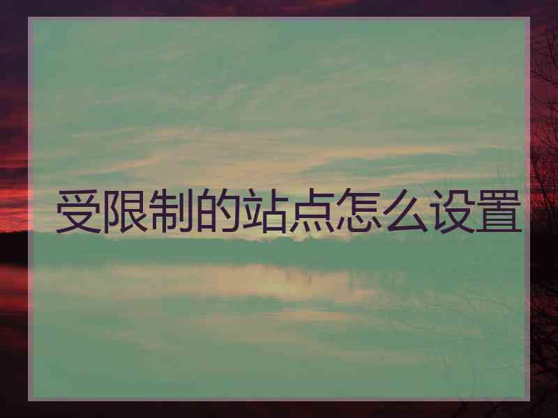 受限制的站点怎么设置