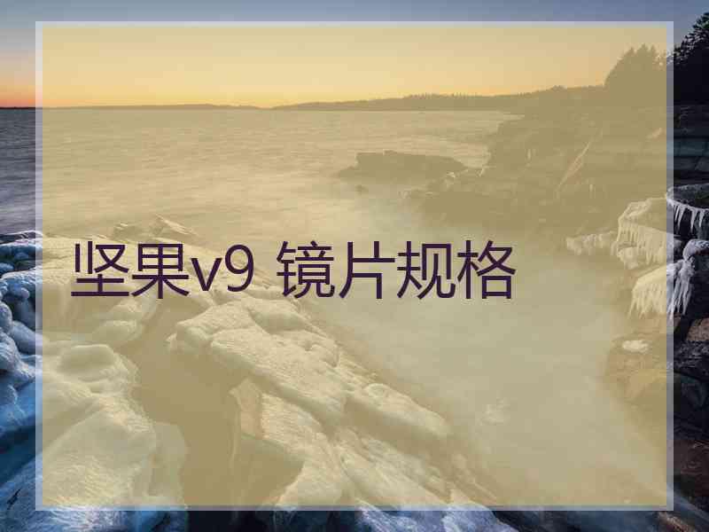 坚果v9 镜片规格