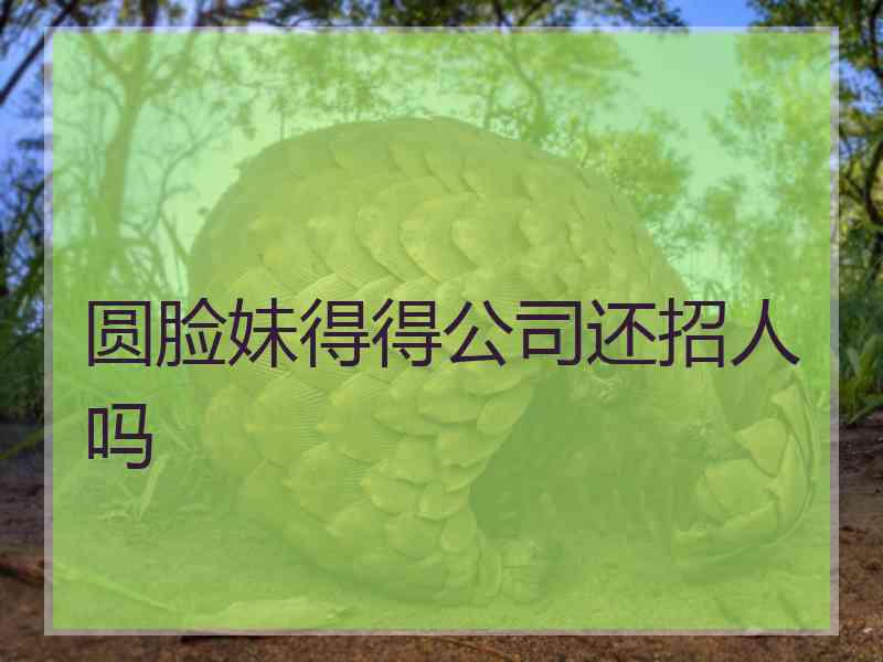 圆脸妹得得公司还招人吗