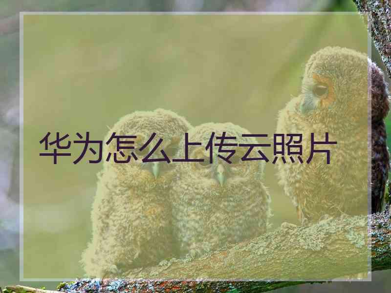 华为怎么上传云照片