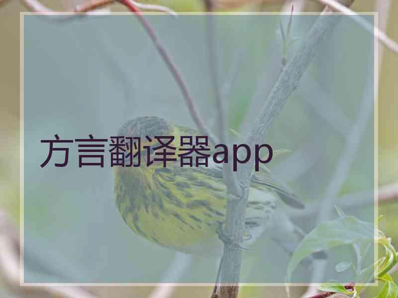 方言翻译器app