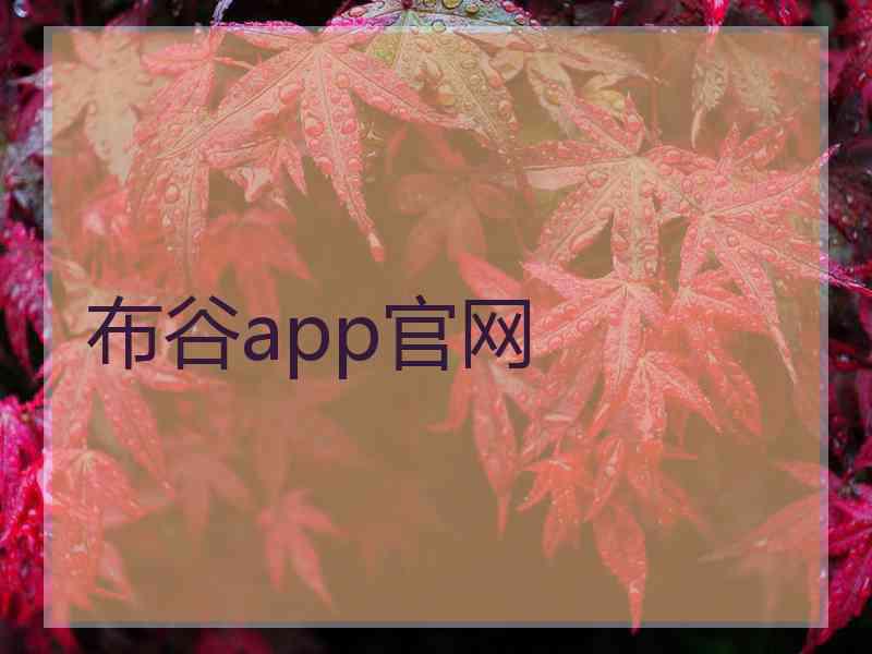 布谷app官网