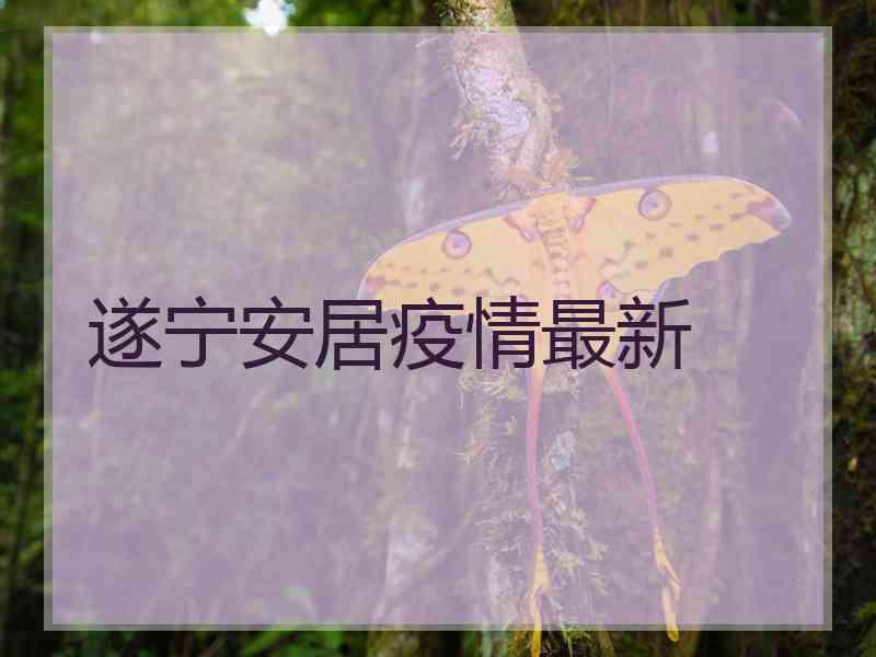 遂宁安居疫情最新