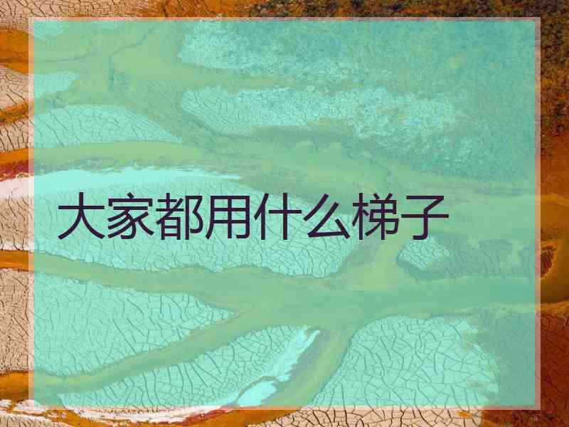 大家都用什么梯子
