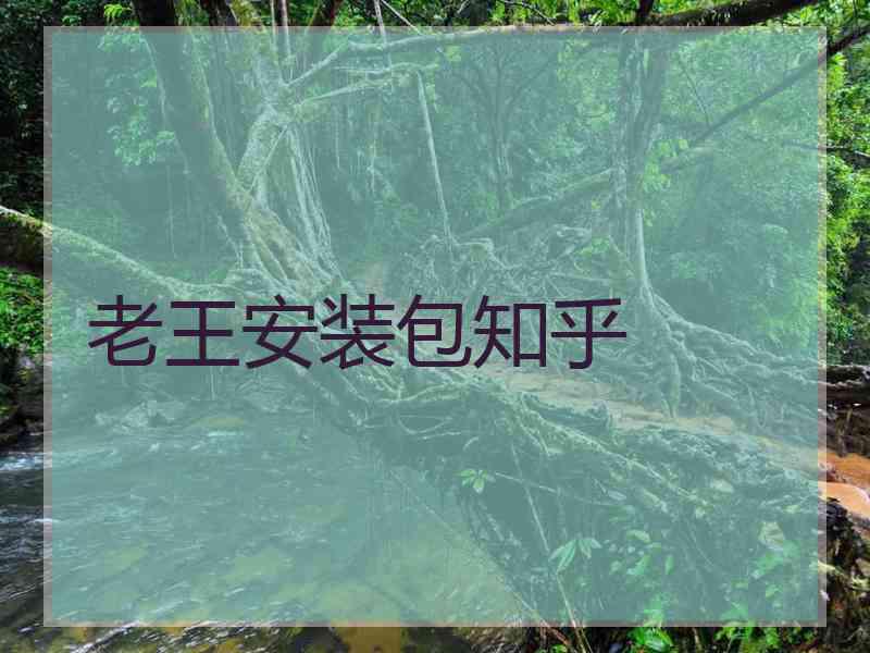 老王安装包知乎