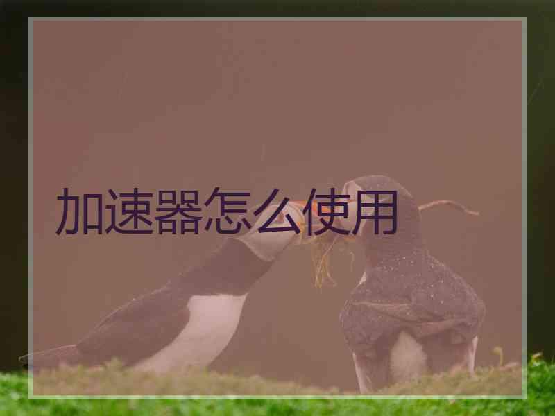 加速器怎么使用