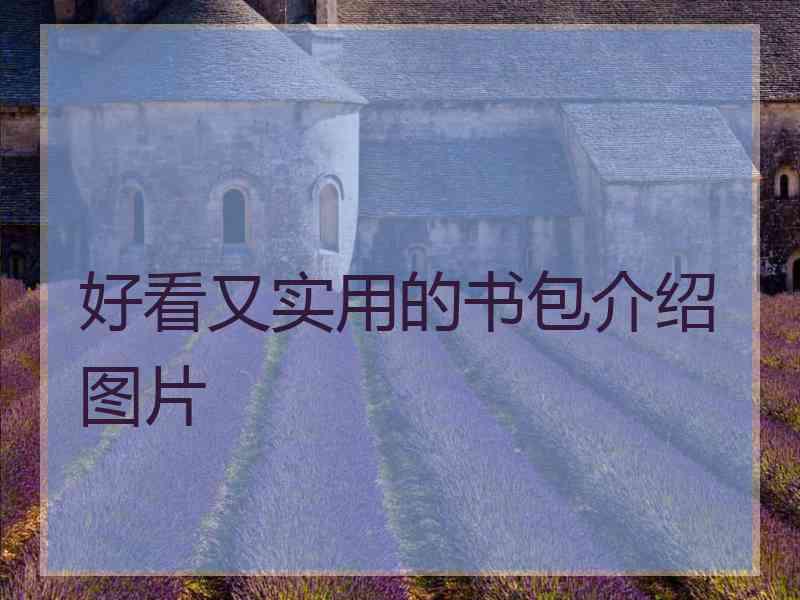 好看又实用的书包介绍图片