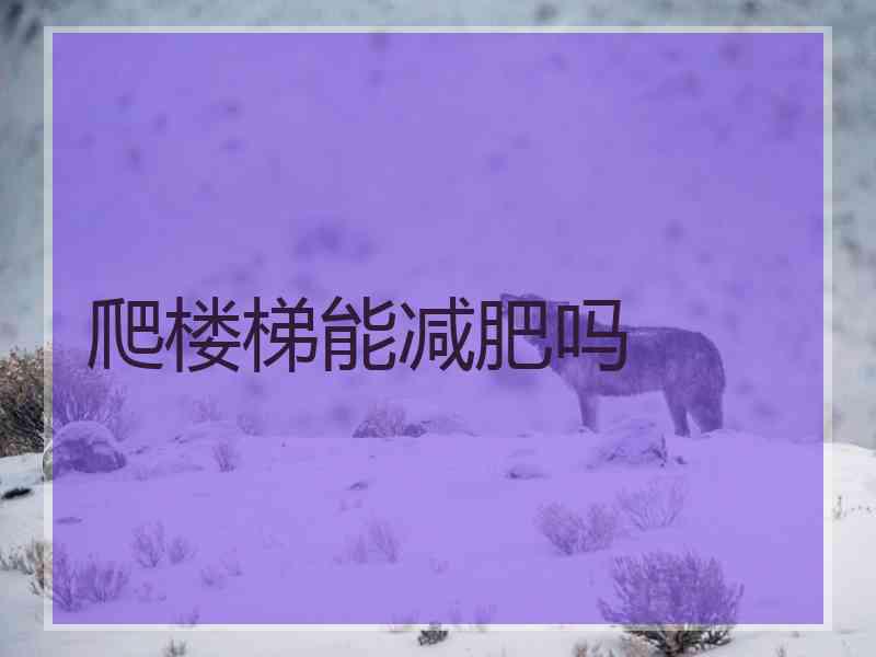 爬楼梯能减肥吗