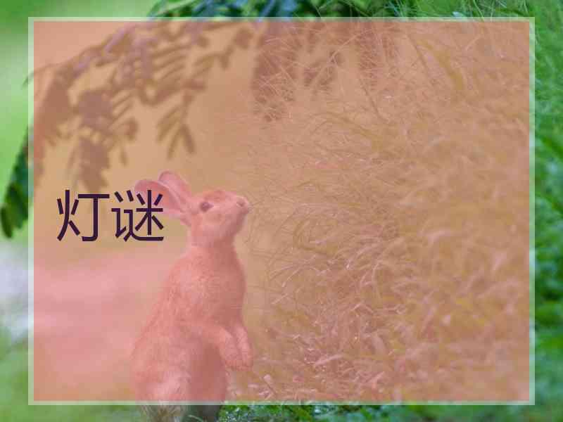 灯谜