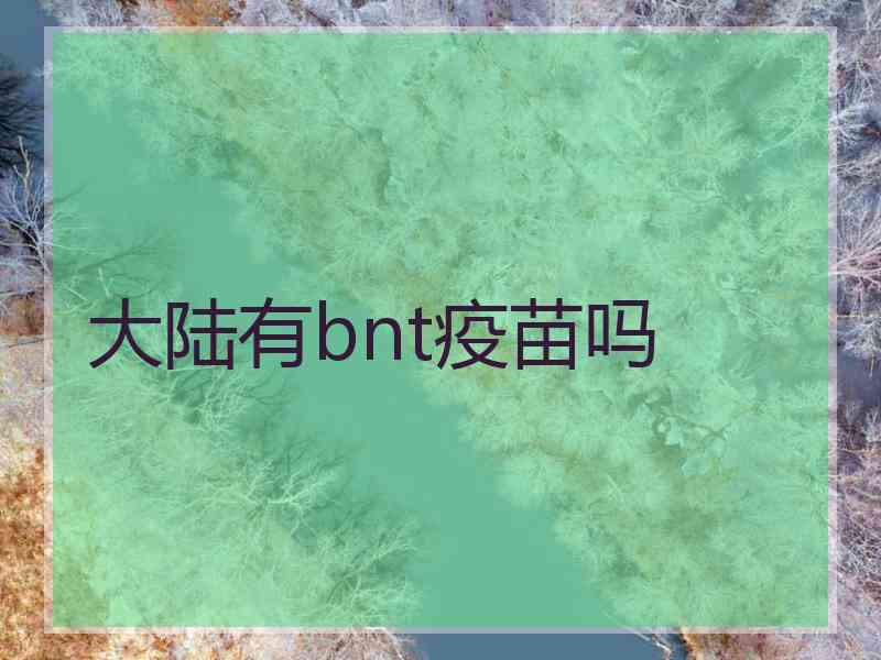 大陆有bnt疫苗吗