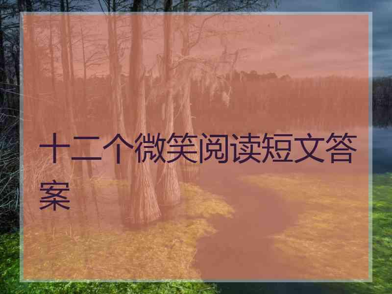 十二个微笑阅读短文答案