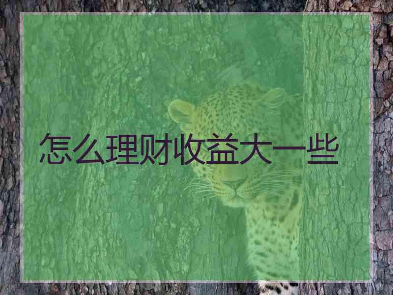 怎么理财收益大一些