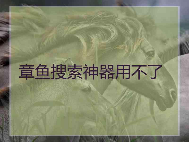 章鱼搜索神器用不了