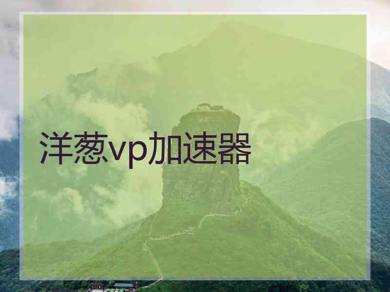洋葱vp加速器