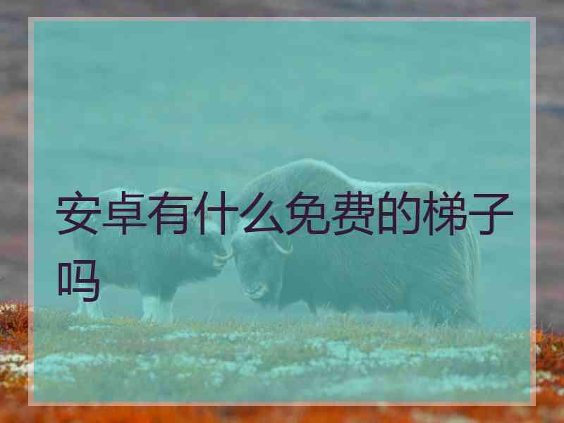 安卓有什么免费的梯子吗