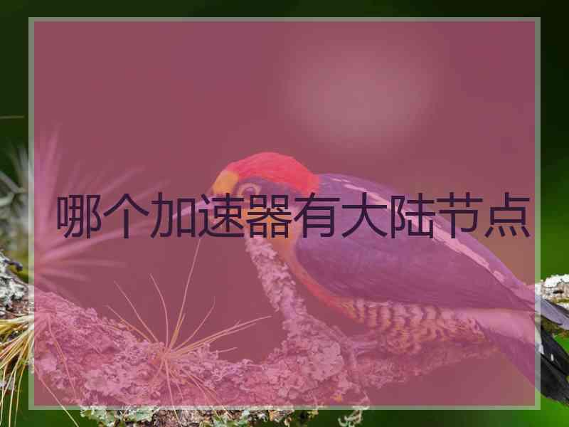 哪个加速器有大陆节点