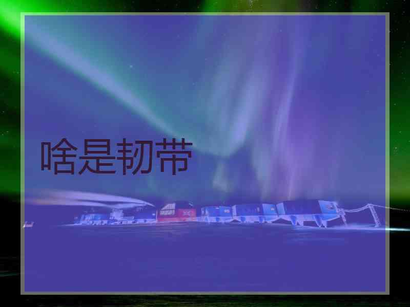 啥是韧带