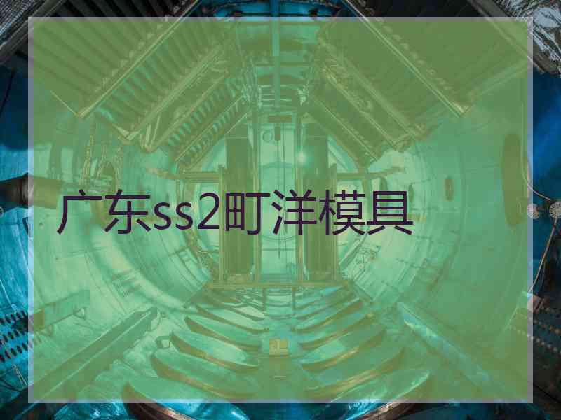 广东ss2町洋模具