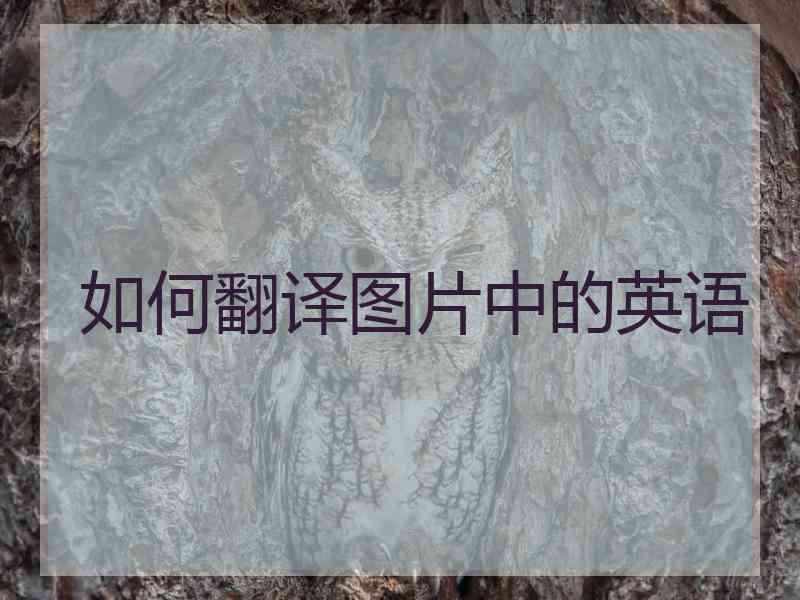 如何翻译图片中的英语