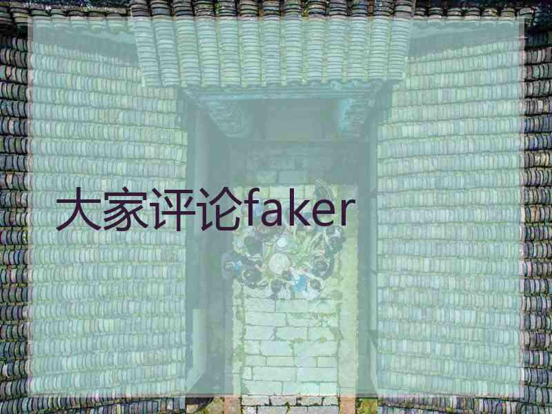 大家评论faker