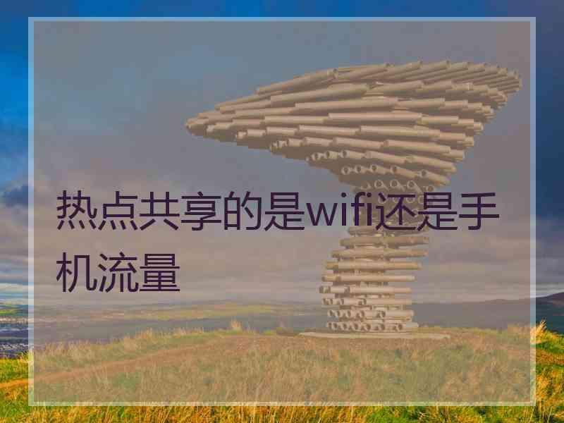热点共享的是wifi还是手机流量