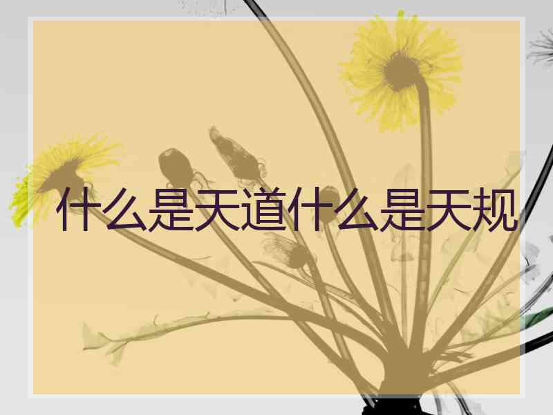 什么是天道什么是天规