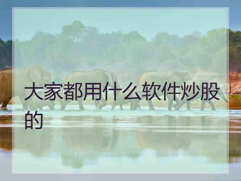 大家都用什么软件炒股的