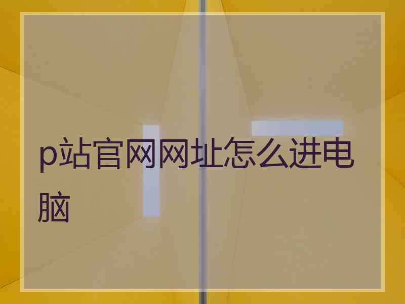 p站官网网址怎么进电脑