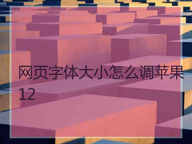 网页字体大小怎么调苹果12