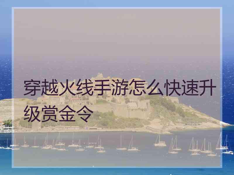 穿越火线手游怎么快速升级赏金令