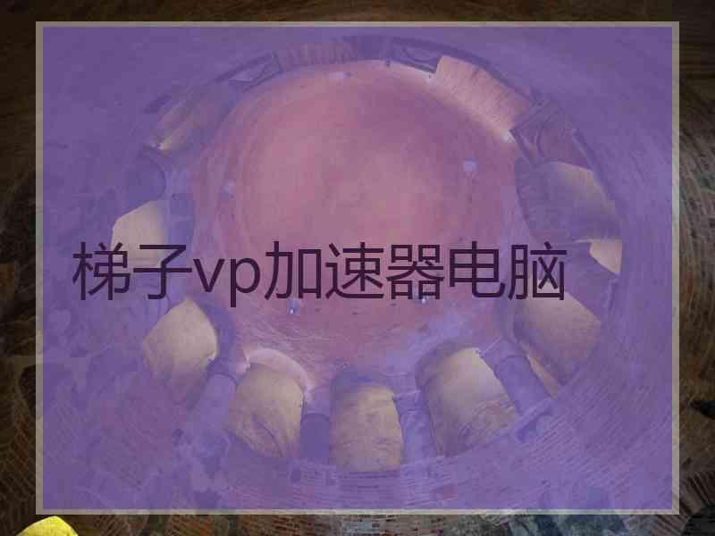 梯子vp加速器电脑