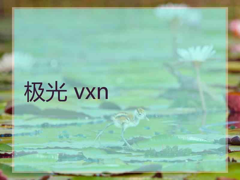 极光 vxn
