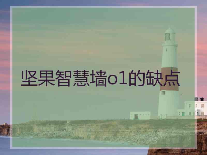 坚果智慧墙o1的缺点