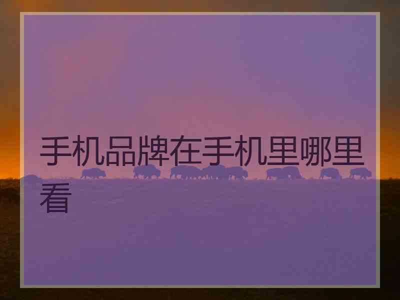 手机品牌在手机里哪里看